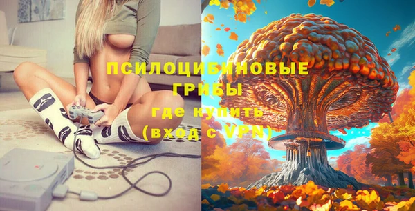 тгк Аркадак
