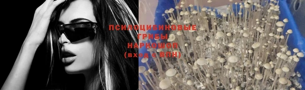 эйфоретик Володарск