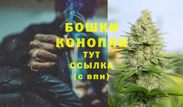 дурь Горняк