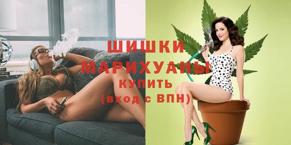 мдпв Инсар