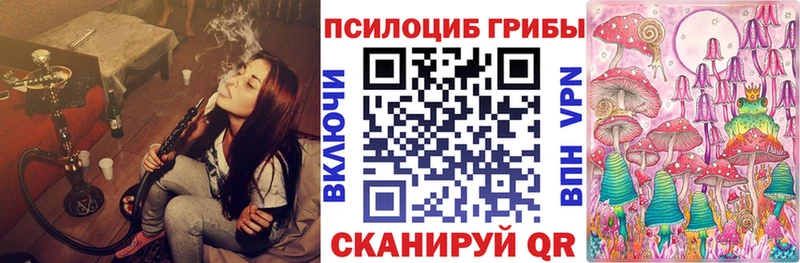 Галлюциногенные грибы Psilocybine cubensis наркота Темрюк